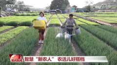 动形态也正在发生着改变